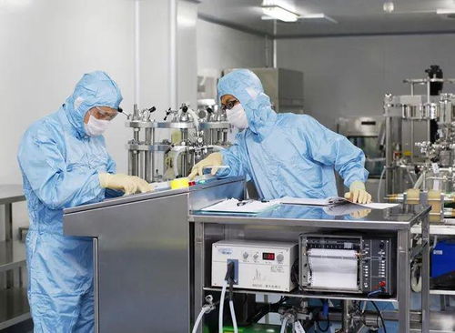 火了 廈門這道 主菜 ,超126萬(wàn)人次